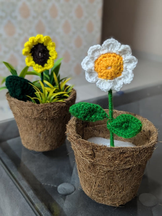 Handmade Crochet Daisy Pot – Eco Mini Bloom Decor