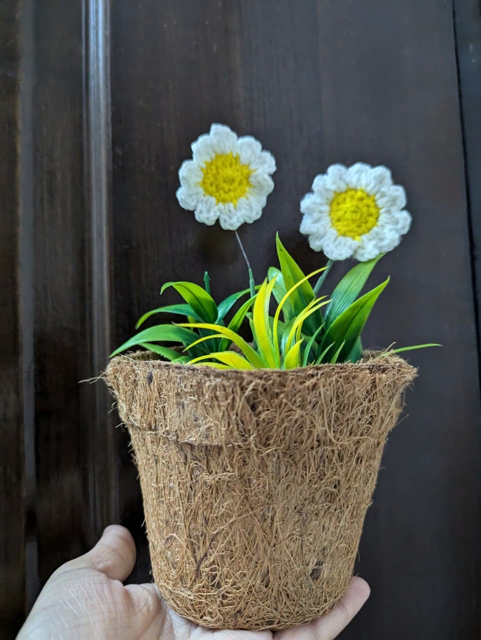 Handmade Crochet Daisy Pot – Eco Mini Bloom Decor
