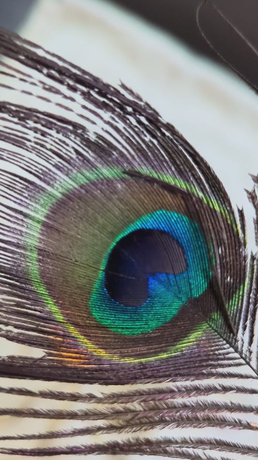 Amigurmi (✨Radhe-Krishna✨)